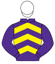 PURPLE & YELLOW CHEVRONS, purple sleeves, white cap                                                                                                   