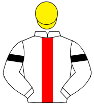 WHITE, red panel, black armlet, yellow cap                                                                                                            