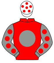 RED, grey disc, grey sleeves, red spots, white cap, red spots                                                                                         