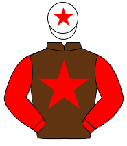 BROWN, red star & sleeves, white cap, red star                                                                                                        