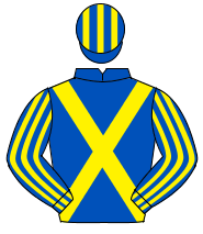 ROYAL BLUE, yellow cross sashes, striped sleeves & cap                                                                                                