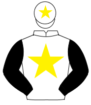 WHITE, yellow star, black sleeves, white cap, yellow star                                                                                             