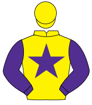 YELLOW, purple star & sleeves, yellow cap                                                                                                             
