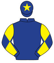 DARK BLUE, dark blue & yellow diabolo on sleeves, dark blue cap, yellow star                                                                          