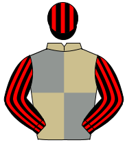 BEIGE & GREY QUARTERED, black & red striped sleeves & cap                                                                                             