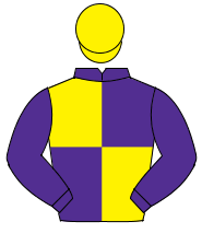 PURPLE & YELLOW QUARTERED, purple sleeves, yellow cap                                                                                                 