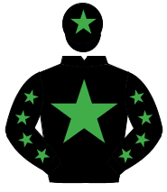 BLACK, emerald green star, emerald green stars on sleeves, emerald green star on cap                                                                  