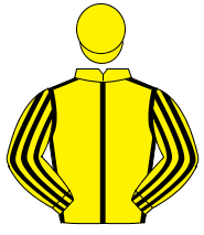 YELLOW, black seams, striped sleeves, yellow cap                                                                                                      