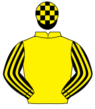 YELLOW, black & yellow striped sleeves, black & yellow check cap                                                                                      