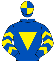 ROYAL BLUE, yellow inverted triangle, yellow chevrons on sleeves, quartered cap                                                                       