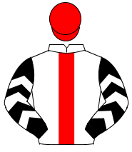 WHITE, red panel, black sleeves, white chevrons, red cap                                                                                              