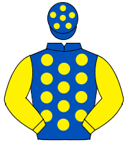 ROYAL BLUE, yellow spots, yellow sleeves, yellow spots on cap                                                                                         