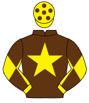 BROWN, yellow star, yellow sleeves, brown diabolo, yellow cap, brown spots                                                                            