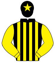 BLACK & YELLOW STRIPES, yellow sleeves, yellow star on cap                                                                                            