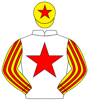 WHITE, red star, yellow & red striped sleeves, yellow cap, red star                                                                                   
