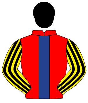 RED, dark blue panel, yellow & black striped sleeves, black cap                                                                                       