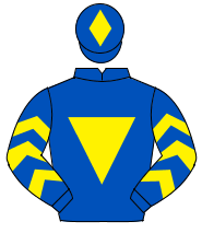 ROYAL BLUE, yellow inverted triangle, yellow chevrons on sleeves, yellow diamond on cap