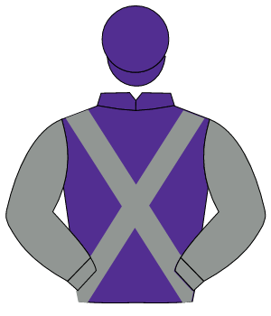 PURPLE, grey cross sashes & sleeves, purple cap                                                                                                       