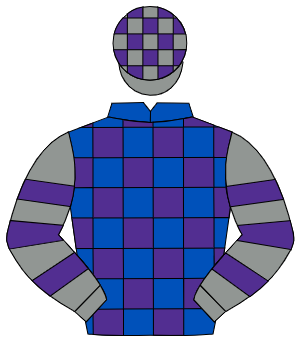 ROYAL BLUE & PURPLE CHECK, grey & purple hooped sleeves, grey & purple check cap                                                                      