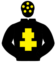 BLACK, yellow cross of lorraine, yellow spots on cap                                                                                                  