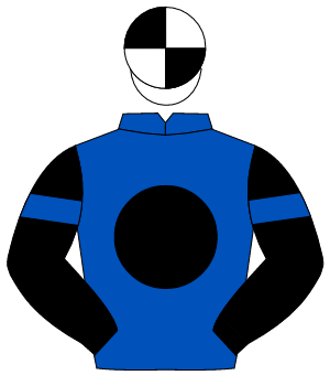 ROYAL BLUE, black disc, black sleeves, royal blue armlet, white & black quartered cap