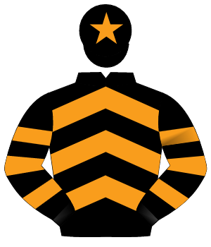 BLACK & ORANGE CHEVRONS, hooped sleeves, orange star on cap                                                                                           