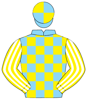LIGHT BLUE & YELLOW CHECK, yellow & white striped sleeves, light blue & yellow quartered cap