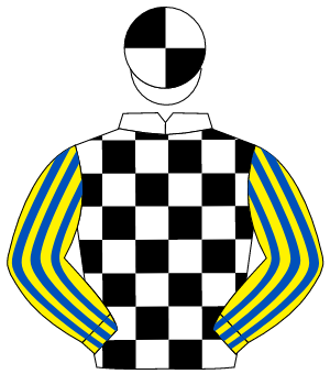 WHITE & BLACK CHECK, yellow & royal blue striped sleeves, white & black quartered cap
