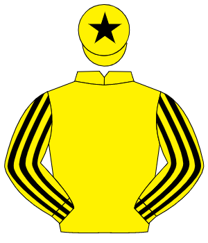 YELLOW, yellow & black striped sleeves, black star on cap