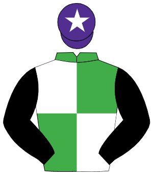 EMERALD GREEN & WHITE QUARTERED, black sleeves, purple cap, white star                                                                                