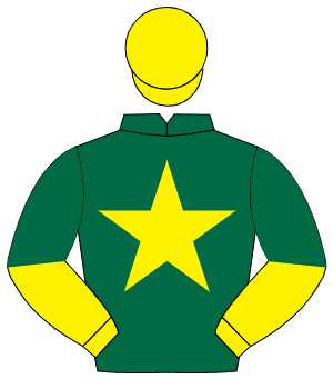 DARK GREEN, yellow star, yellow & dark green halved sleeves, yellow cap                                                                               