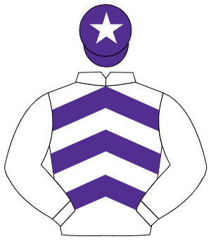 WHITE & PURPLE CHEVRONS, white sleeves, purple cap, white star