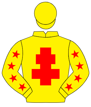 YELLOW, red cross of lorraine, red stars on sleeves, yellow cap