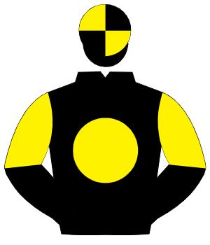 BLACK, yellow disc, halved sleeves, quartered cap
