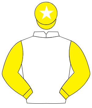 WHITE, yellow sleeves, yellow cap, white star