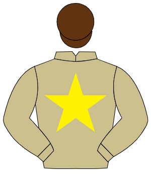 BEIGE, yellow star, brown cap