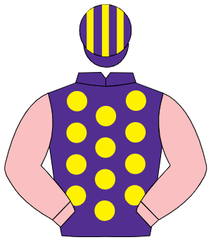 PURPLE, yellow spots, pink sleeves, purple & yellow striped cap