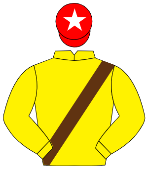 YELLOW, brown sash, red cap, white star