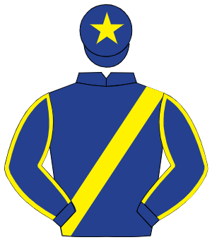 DARK BLUE, yellow sash, yellow seams on sleeves, yellow star on cap