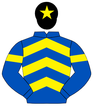 ROYAL BLUE & YELLOW CHEVRONS, yellow armlet, black cap, yellow star