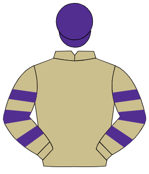 BEIGE, beige & purple hooped sleeves, purple cap