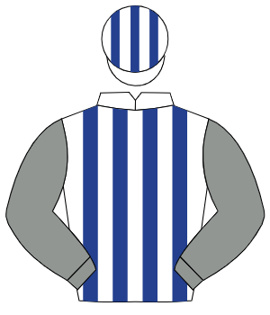 WHITE & DARK BLUE STRIPES, grey sleeves, white & dark blue striped cap