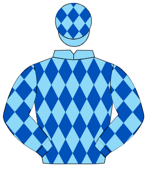 LIGHT BLUE & ROYAL BLUE DIAMONDS, royal blue sleeves, light blue diamonds, light blue cap, royal blue diamonds