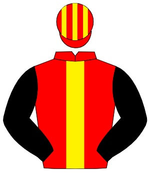 RED, yellow panel, black sleeves, red & yellow striped cap