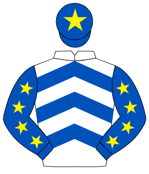 WHITE & ROYAL BLUE CHEVRONS, royal blue sleeves, yellow stars, royal blue cap, yellow star