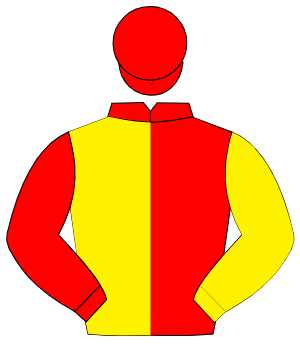 RED & YELLOW HALVED, sleeves reversed, red cap