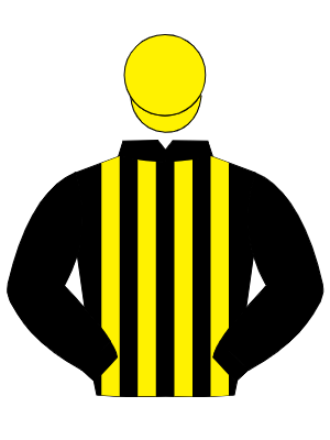 BLACK & YELLOW STRIPES, black sleeves, yellow cap