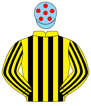YELLOW & BLACK STRIPES, light blue cap, red spots