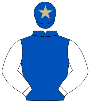 ROYAL BLUE, white sleeves, royal blue cap, beige star