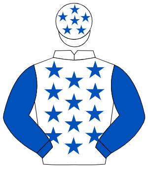 WHITE, royal blue stars, royal blue sleeves, royal blue stars on cap